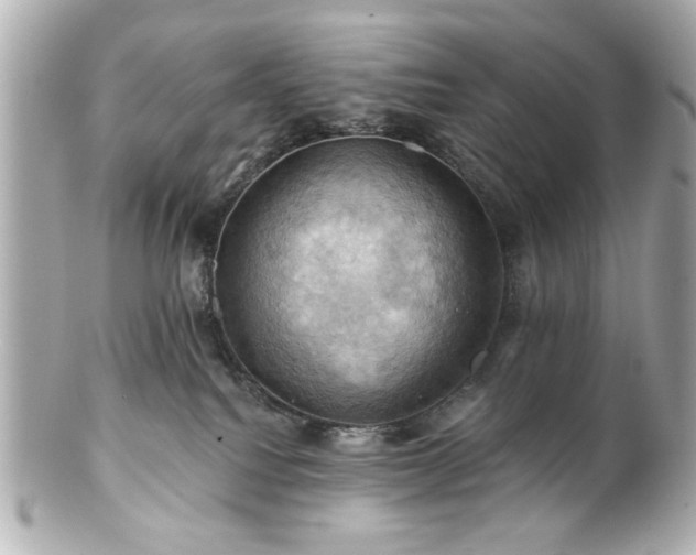 X0000100890088200807011207