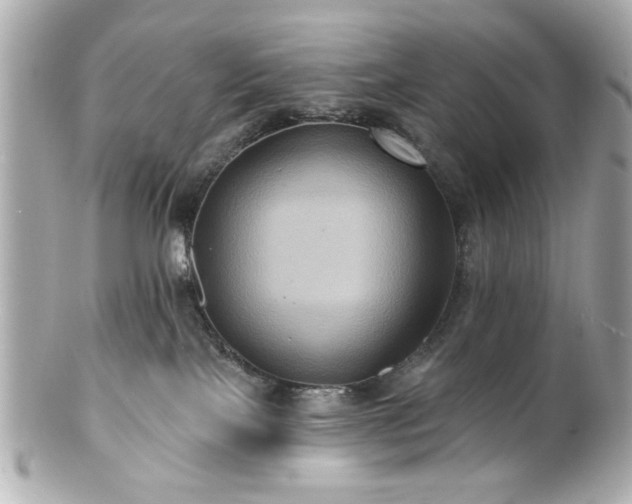 X0000100890089200807011207
