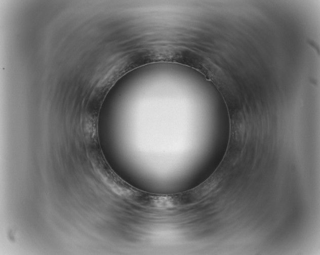 X0000100890091200807011207