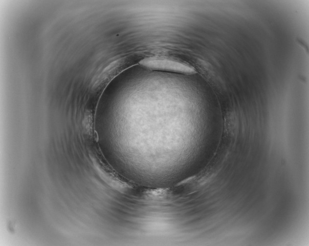 X0000100890092200807011207