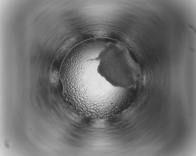 X0000100890093200807011207