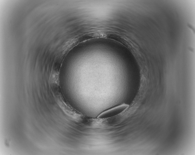 X0000100890096200807011207