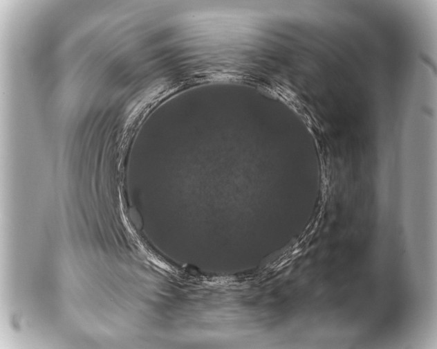 X0000100890097200807011206