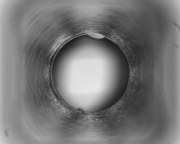 X0000100890098200807011206