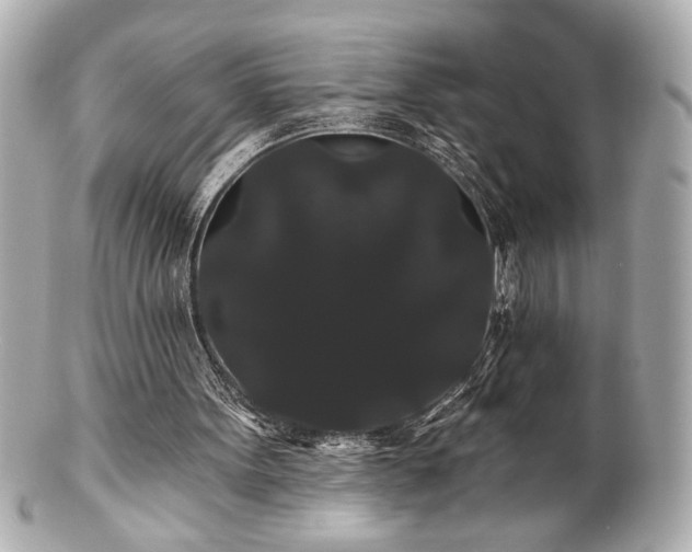 X0000100890099200807011206