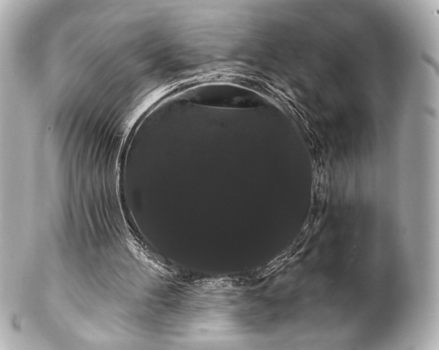 X0000100890100200807011206
