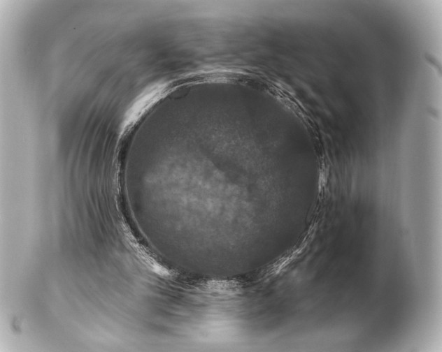X0000100890101200807011206