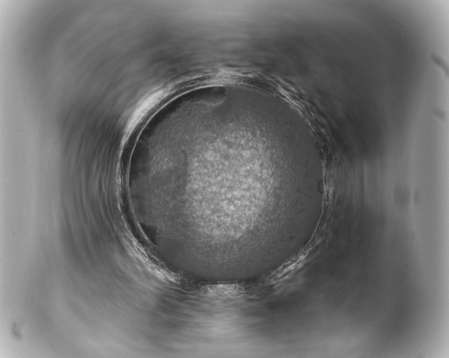 X0000100890102200807011206