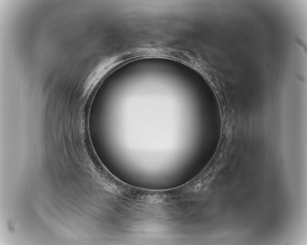 X0000100890103200807011206