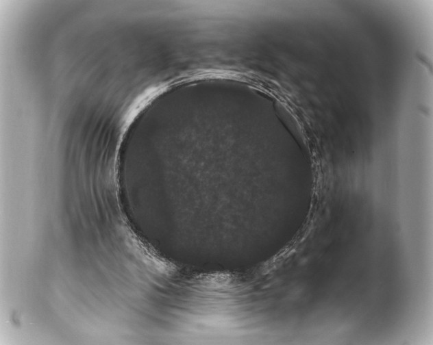 X0000100890104200807011206