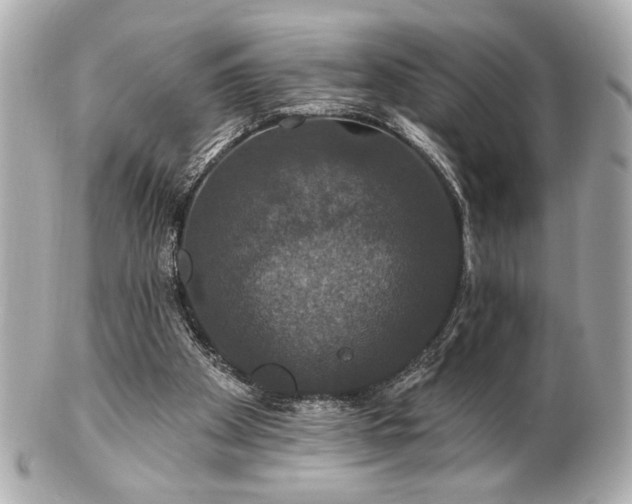 X0000100890105200807011206