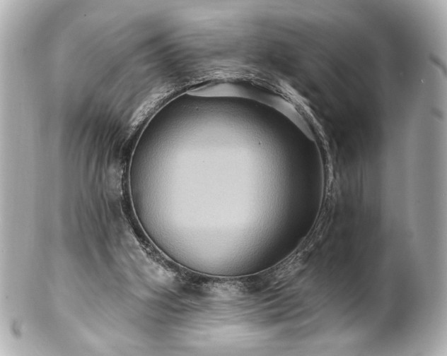 X0000100890106200807011206