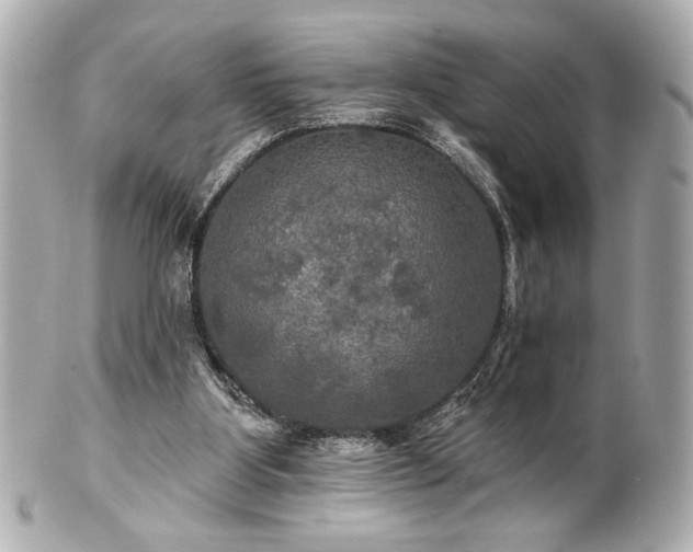 X0000100890107200807011206