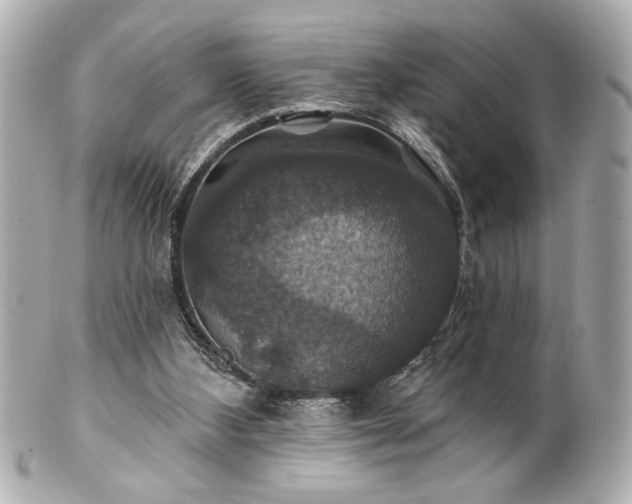X0000100890108200807011206