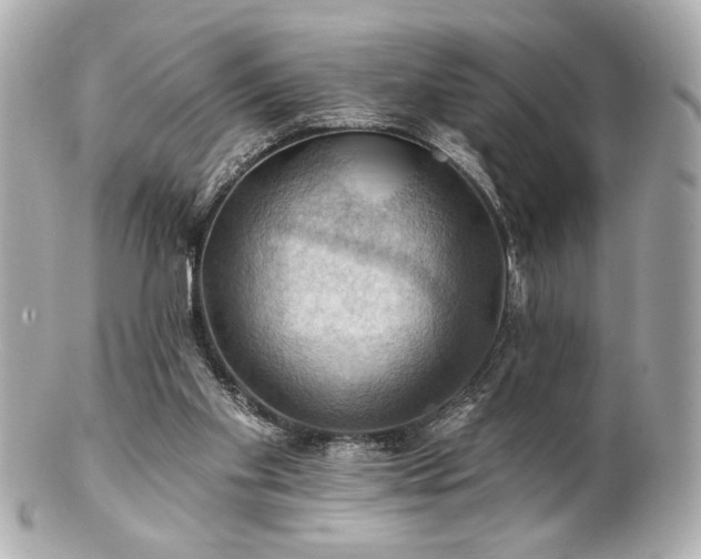X0000100890109200807011206