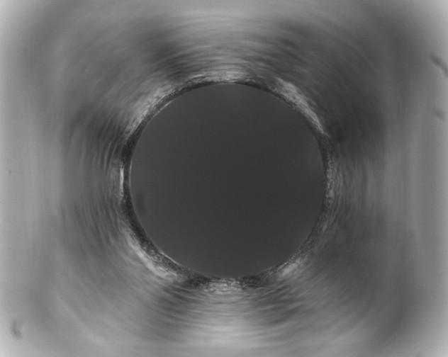 X0000100890110200807011206