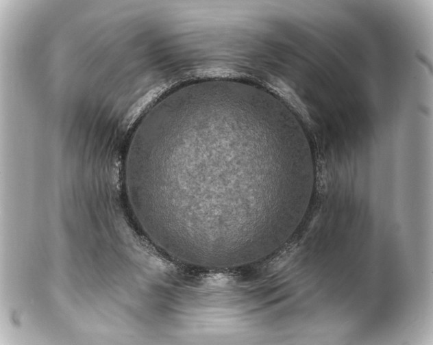 X0000100890111200807011206