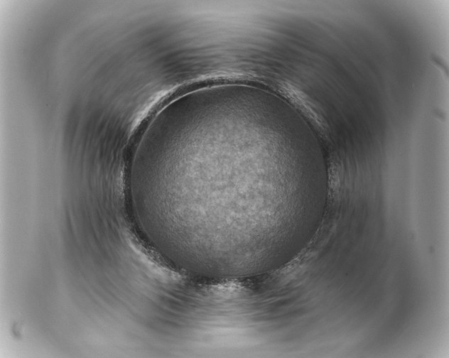 X0000100890112200807011206