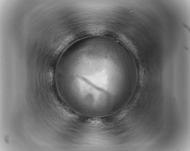 X0000100890113200807011206