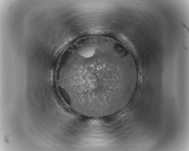 X0000100890115200807011206