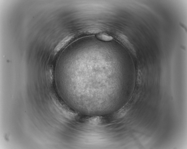 X0000100890116200807011206