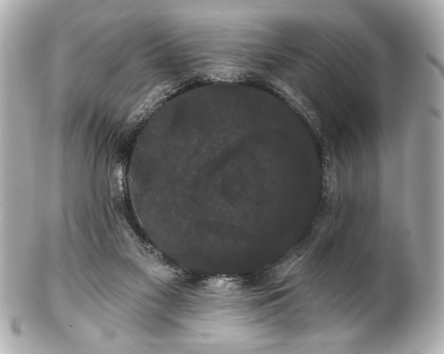 X0000100890117200807011206