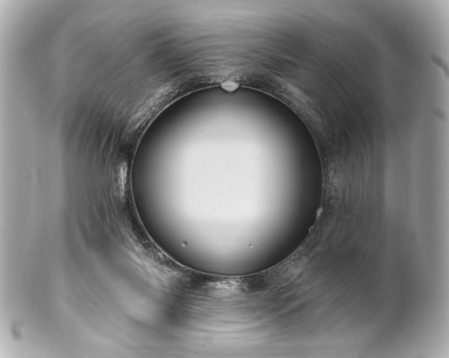 X0000100890118200807011206