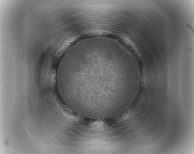 X0000100890119200807011206