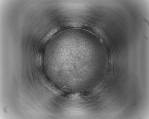 X0000100890120200807011206