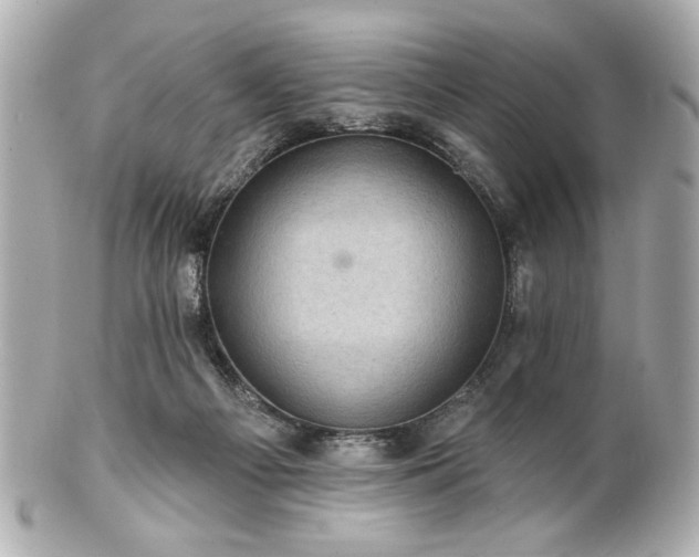 X0000100890121200807011206