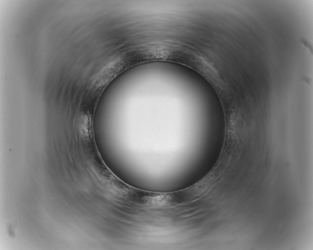 X0000100890122200807011206