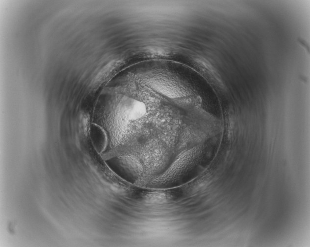 X0000100890123200807011206