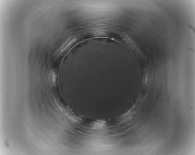 X0000100890124200807011206