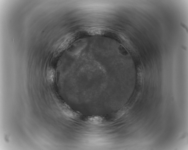 X0000100890125200807011206