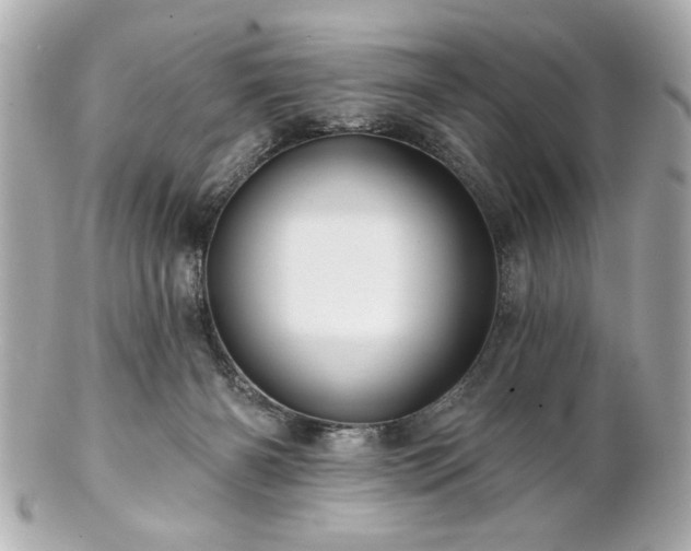 X0000100890126200807011206