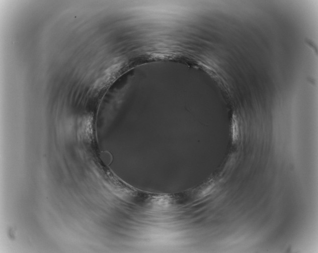 X0000100890127200807011206