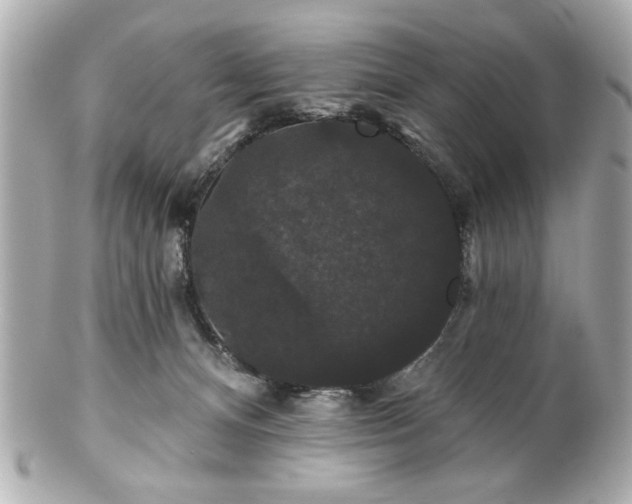 X0000100890128200807011206