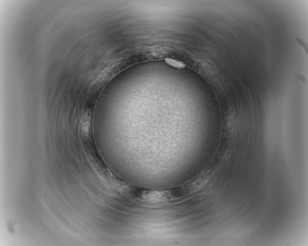 X0000100890129200807011206