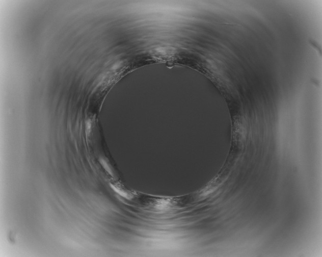 X0000100890130200807011206