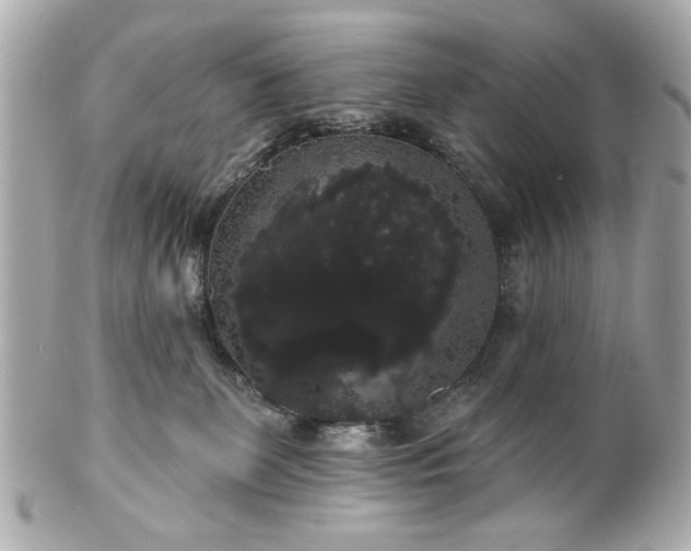 X0000100890131200807011206