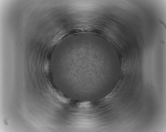 X0000100890132200807011206