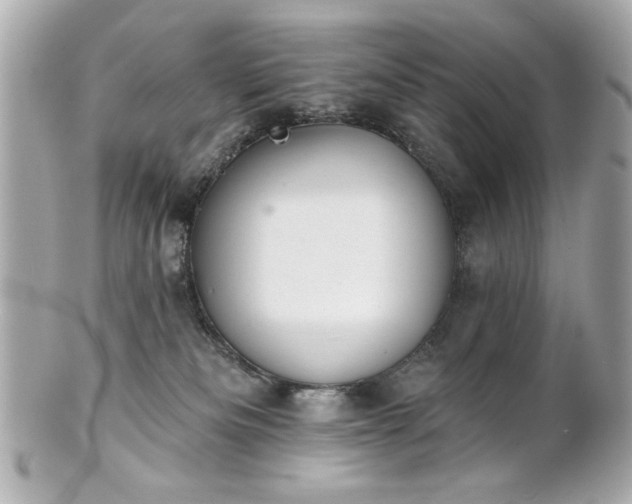 X0000100890133200807011206