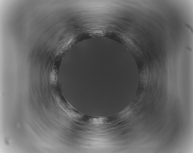 X0000100890134200807011206