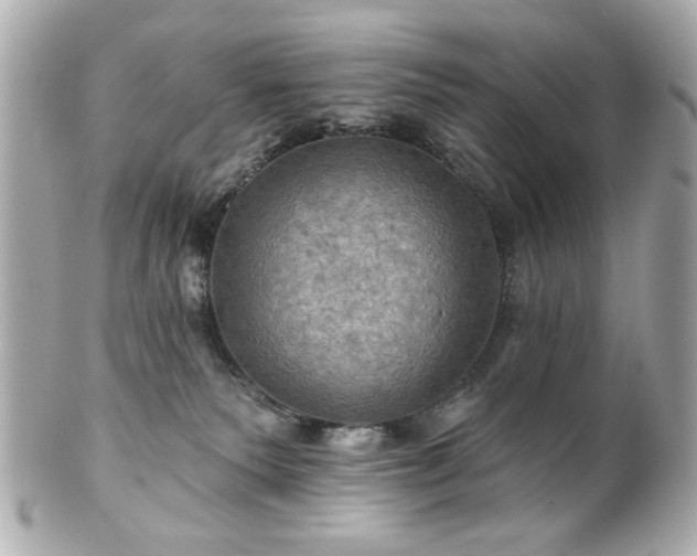 X0000100890135200807011205