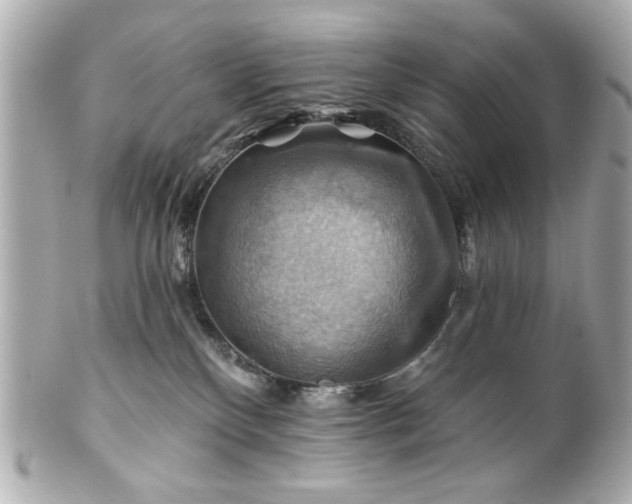 X0000100890136200807011205