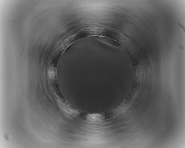 X0000100890137200807011205