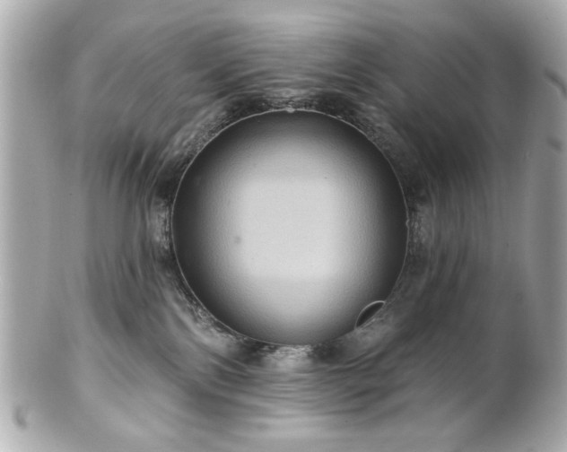 X0000100890138200807011205