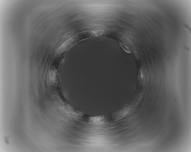 X0000100890139200807011205