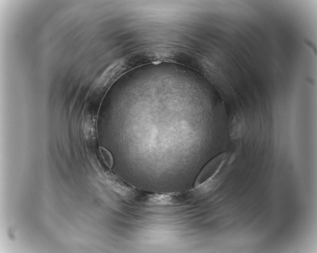 X0000100890140200807011205