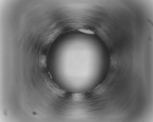 X0000100890141200807011205
